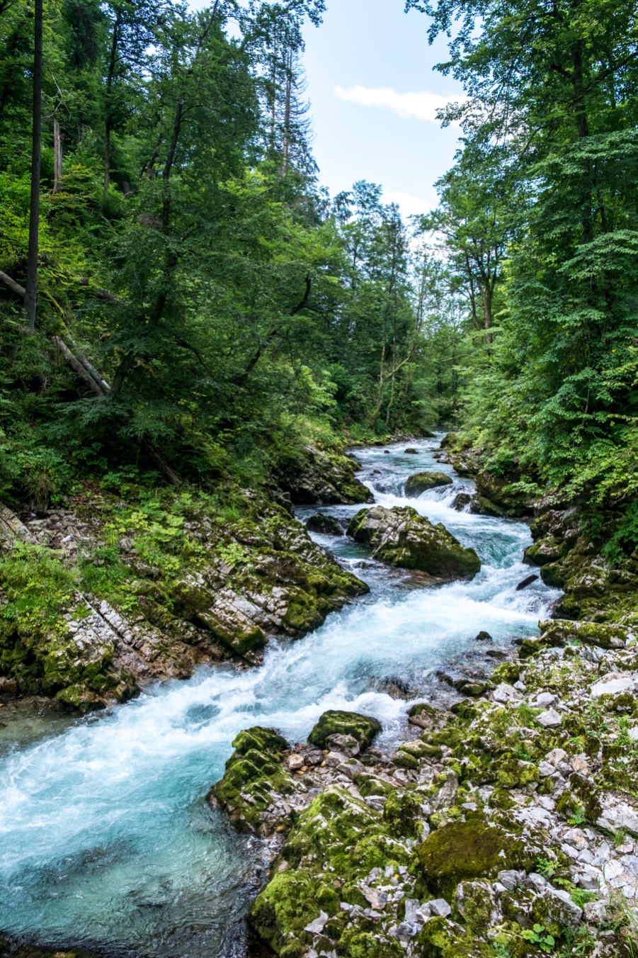 Vintgar Gorge Slovenië